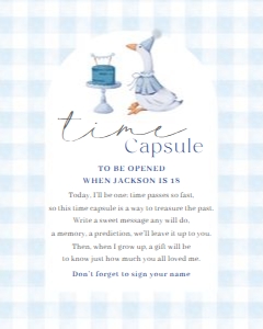 BD_Silly Goose Blue_002_Time Capsule Set design preview