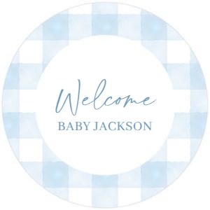 BS_Gingham Blue_002_Cupcake Topper design preview