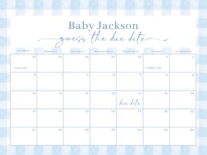 BS_Gingham Blue_002_Calendar due date 24x18 design preview