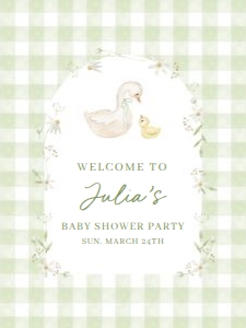 BS_Goose Silly_002_Welcome Set design preview