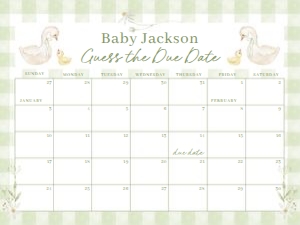 BS_Goose Silly_002_Calendar due date 24x18 design preview