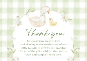 BS_Goose Silly_002_Thanks & Display design preview