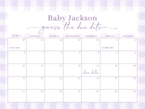 BS_Gingham Purple_PGHBS001_Calendar due date 24x18 design preview