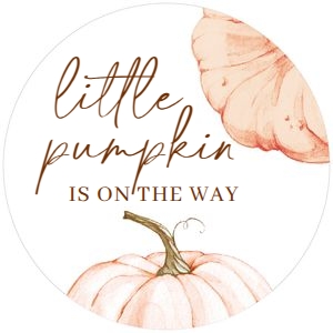 BS_Pumpkin Orange_OPKBS003_Cupcake Topper design preview