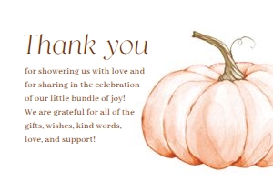 BS_Pumpkin Orange_OPKBS003_Thanks & Display design preview