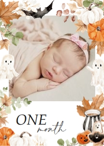 BD_Little Boo_LTBBD003_3 Photo Banners design preview