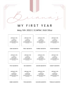 0303 Pink Dol Milestone Birthday Sign design preview