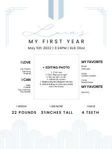 0304 Blue boy milestone board 18x24: 0304 Blue Dol bundle