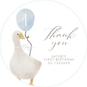 0308 blue round gift tag and square gift tag 2x2: Celebrate your little one's special day with our Blue One Silly G