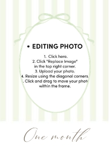 0308 green photo banner: 03083 green silly goose bundle