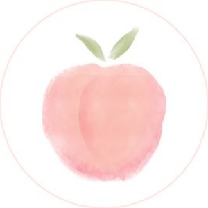 0210 peach 2x2 topper: peach baby shower, baby shower bundle, girl baby shower, editable