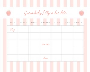 0210 peach 16x20 arrival calendar: peach baby shower, baby shower bundle, girl baby shower, editable