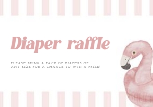 2013 Flamingo diaper raffle: 2013 Flamingo mini set