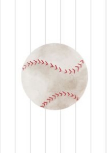 0315 One banner: 0315 baseball bundle