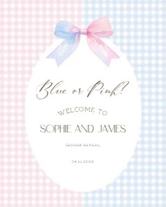 2014 blue or pink welcome sign design preview