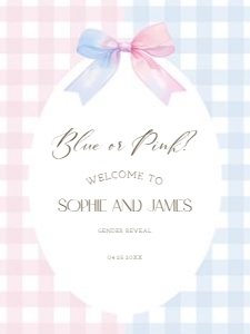 2014 blue or pink welcome sign 18x24: 2014 blue or pink welcome sign