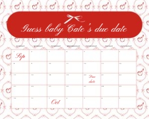 2020 red apple baby shower Arrival date calendar 16x20: 2020 calendar