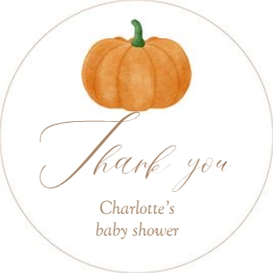 2028 pumpkin baby shower round and square favor tag: 2028 pumpkin bundle