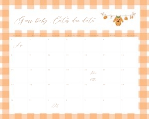 2028 pumpkin baby shower Arrival date calendar 16x20: 2028 pumpkin bundle