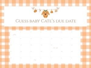 2028 arrival calendar design preview