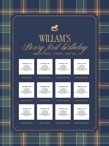 0327 teddy boy Photo milestone 18x24: 032701 boy photo milestone