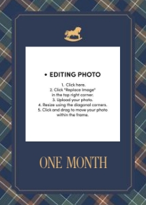 0327 teddy boy photo12 months banner: 032702 boy photo banner