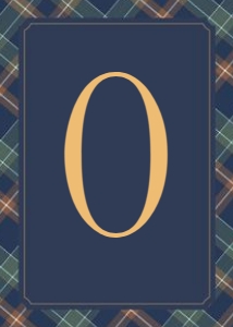 0327 teddy boy ONE banner: 032702 boy photo banner