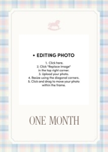 0327 teddy Twins girl photo12 months banner: 032703 twin banner