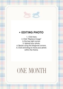 0327 teddy Twins photo12 months banner: 032703 twin banner
