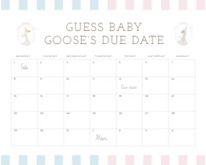 2011 Arrival date calendar 16x20: Celebrate your little "silly goose" with this soft pastel pink an