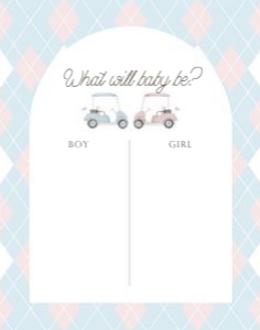 0204 pink blue gender reveal voting sign 11x14: 0204 bundle