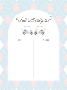 0204 pink blue gender reveal voting sign 18x24: 0204 bundle