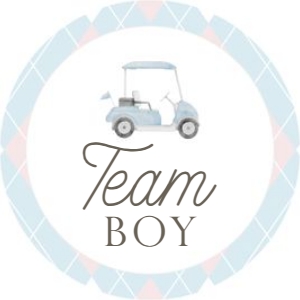 0204 gender reveal sticker: 0204 bundle