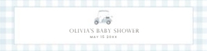 2041 blue golf Water bottle: 2041 blue gingham bundle