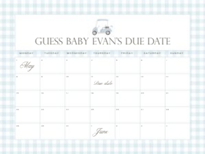 2041 blue golf date calendar 18x24: 2041 blue gingham bundle