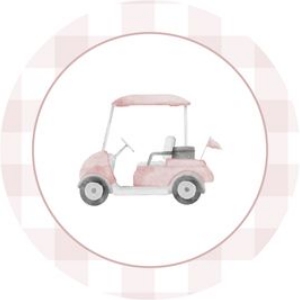 2041 pink golf cake topper: 2041 pink gingham bundle
