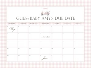 2041 pink golf date calendar 18x24: 2041 pink gingham bundle