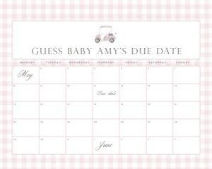 2041 pink golf date calendar 16x20: 2041 pink gingham bundle