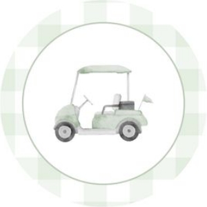 2041 sage green golf cake topper: 2041 sage green gingham bundle