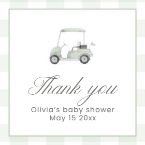 2041 sage green golf round and square favor tag: 2041 sage green gingham bundle