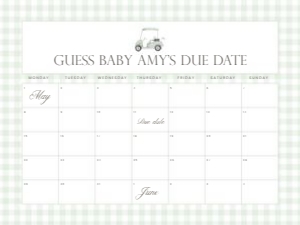 2041 sage green golf date calendar 18x24: 2041 sage green gingham bundle