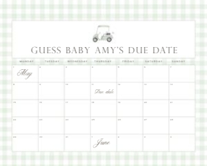 2041 sage green golf date calendar 16x20: 2041 sage green gingham bundle