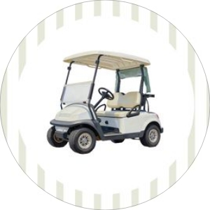 2041 teddy golf cake topper: 2041 teddy golf bundle