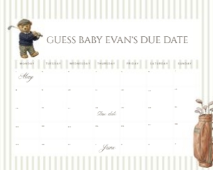 2041 teddy golf date calendar 16x20: 2041 teddy golf bundle
