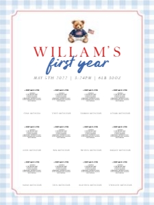 0341 photo milestone board 18x24: 0341 boy bundle