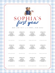 0341 girl photo milestone board 18x24: 0341 girl bundle
