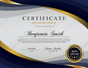 11 x 8.5 Elegant Certificate of Excellence Blue & Gold Award: 11 x 8.5 Elegant Certificate of Excellence Blue & Gold Award