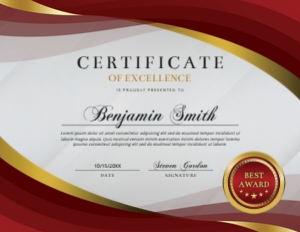 11 x 8.5 Elegant Certificate of Excellence Red & Gold Award: 11 x 8.5 Elegant Certificate of Excellence Red & Gold Award
