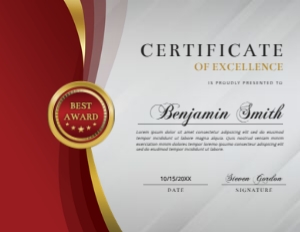11 x 8.5 Elegant Red & Gold Certificate of Excellence Award with Side Frame: 11 x 8.5 Elegant Red & Gold Certificate of Excellence Award