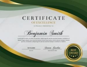 11 x 8.5 Elegant Certificate of Excellence Olive Green & Gold Award: Elegant Certificate of Excellence Olive Green & Gold Award